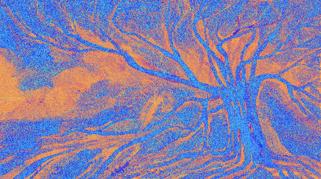 Bild der Drucks „Vertrauter Baum. Abdruck C“ vom Original gemälde/Zeichnung von Natali Antonovich