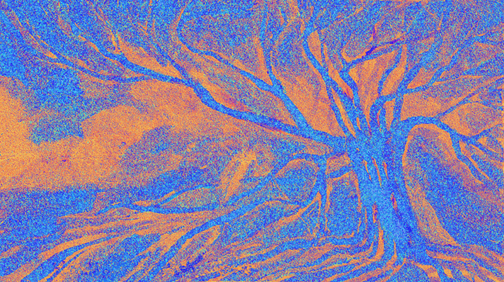 Image of Print "Familiar Tree. Print C" from original Painting/Drawing by Natali Antonovich
