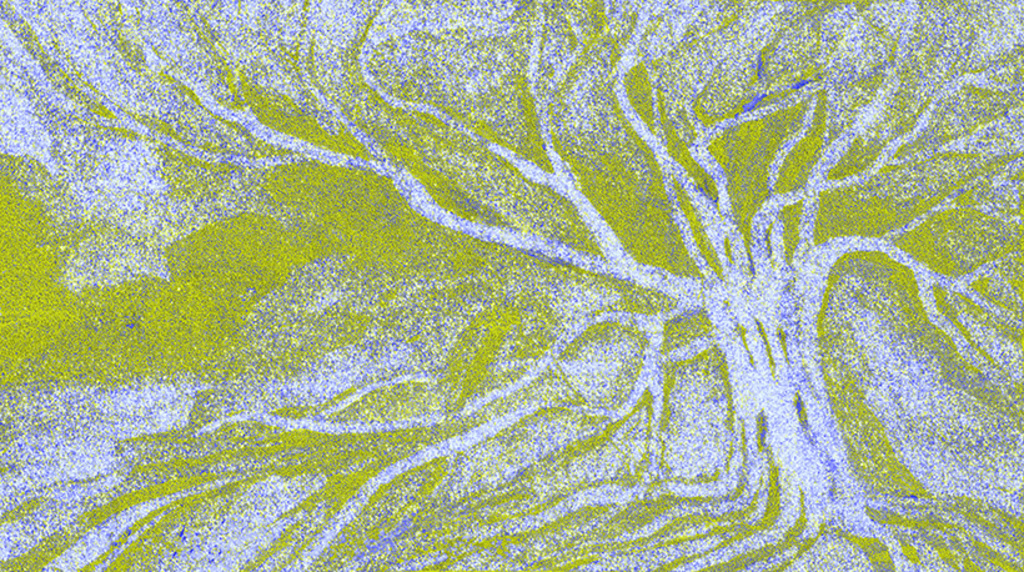 Изображение принта „Знакомое дерево. Принт D“ с оригинальной картины/рисунка Натальи Антонович