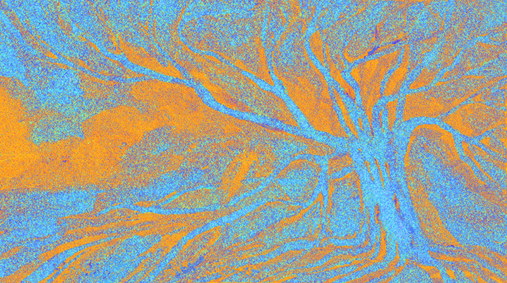 Изображение принта „Знакомое дерево. Принт E“ с оригинальной картины/рисунка Натальи Антонович