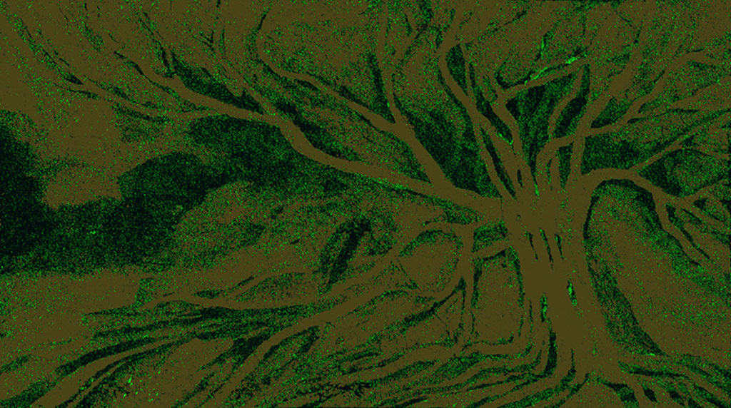 Bild der Drucks „Vertrauter Baum. Abdruck G“ vom Original gemälde/Zeichnung von Natali Antonovich