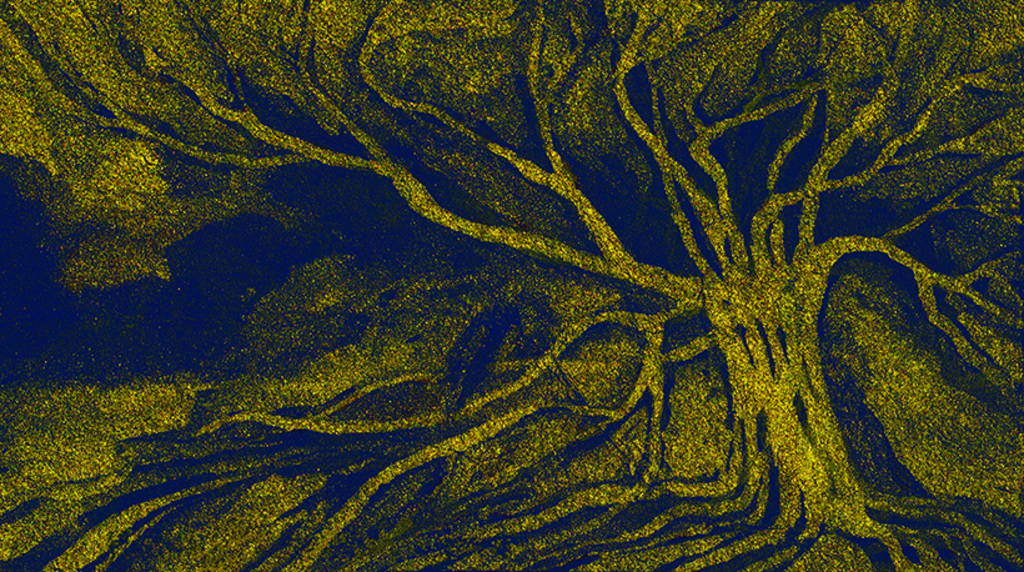 Изображение принта „Знакомое дерево. Принт H“ с оригинальной картины/рисунка Натальи Антонович