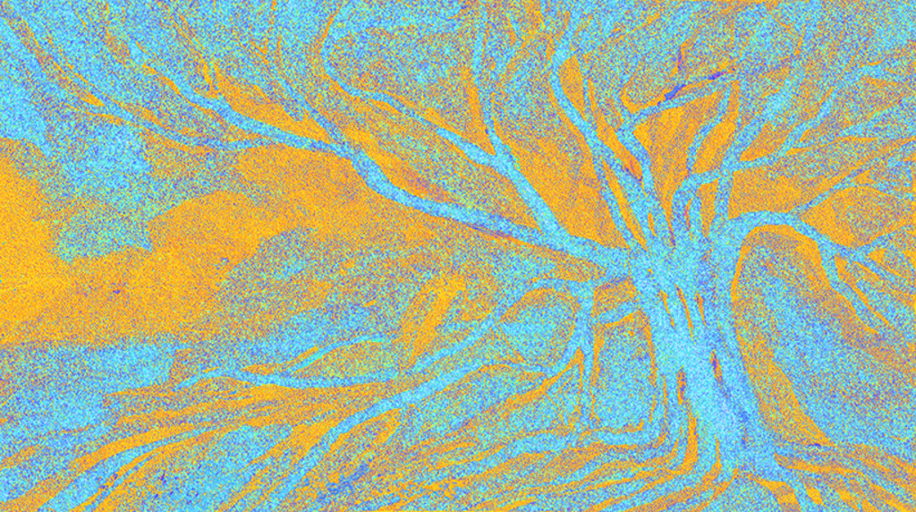Изображение принта „Знакомое дерево. Принт L“ с оригинальной картины/рисунка Натальи Антонович