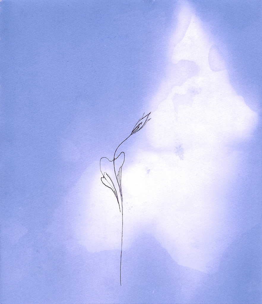 Image of Print ". ...reaching for the Light.  Print  B" from original Painting/Drawing by Natali Antonovich