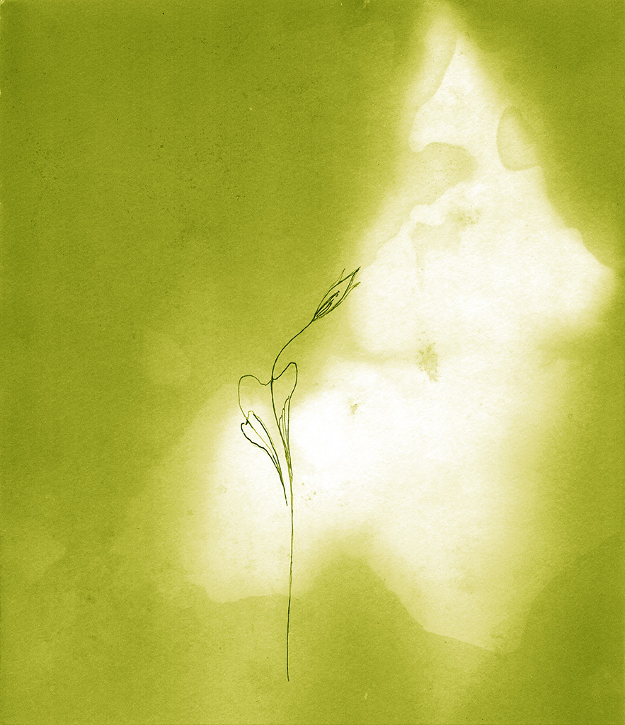 Image de l'impression „..... atteindre la Lumière. Imprimé F“ à partir de la peinture/dessin original de Natali Antonovich