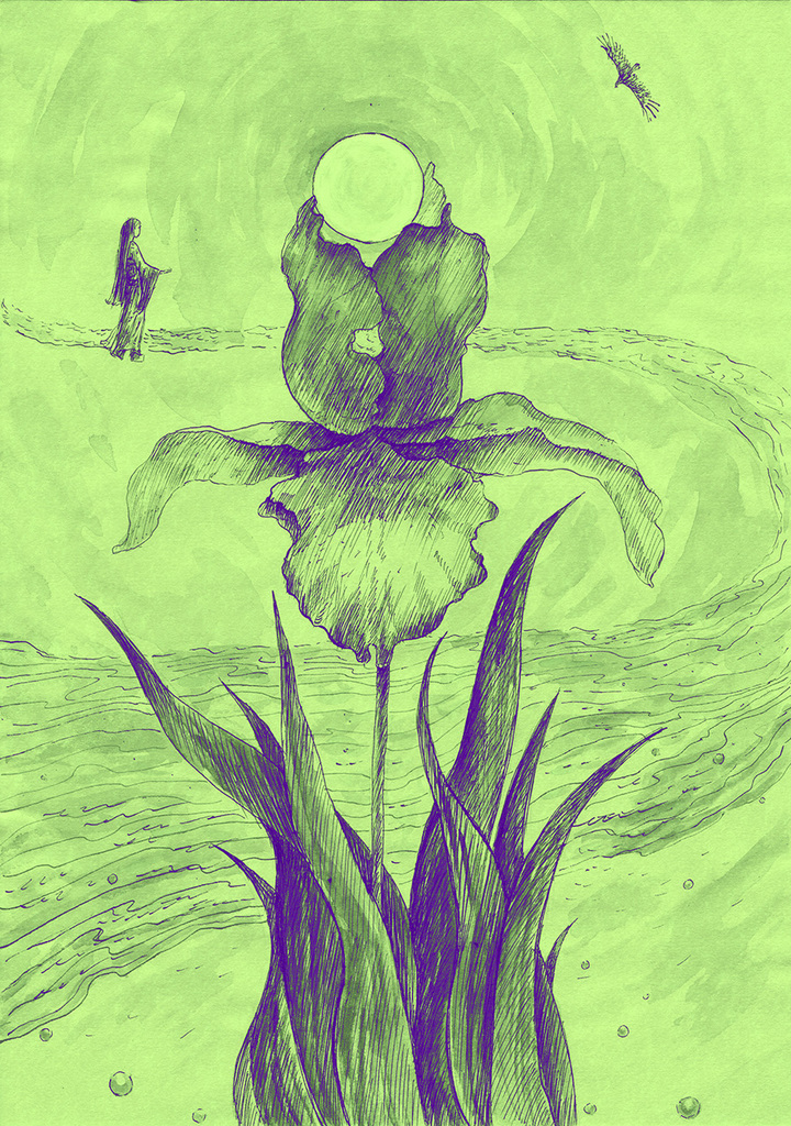 Bild der Drucks „Illustration 16. Abdruck  G“ vom Original gemälde/Zeichnung von Natali Antonovich