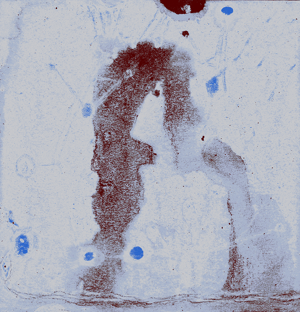 Afbeelding van print "Twee Openbaringen.  Afdruk F" van origineel schilderij/tekening door Natali Antonovich