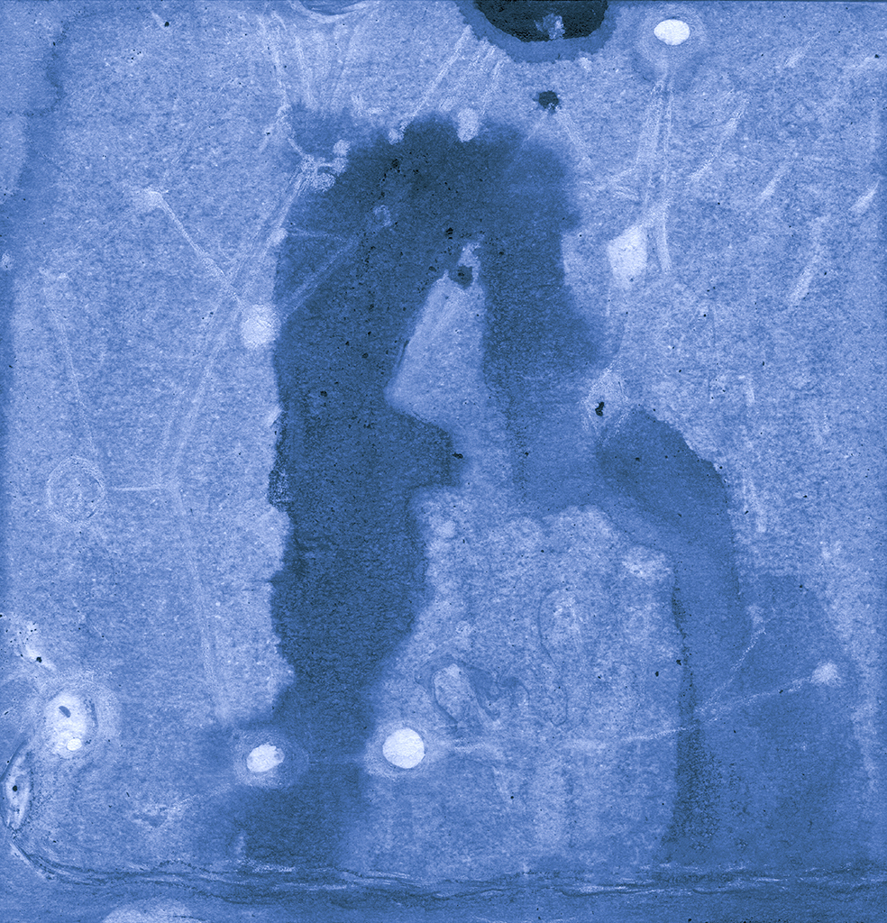 Afbeelding van print "Twee Openbaringen.  Afdruk R" van origineel schilderij/tekening door Natali Antonovich