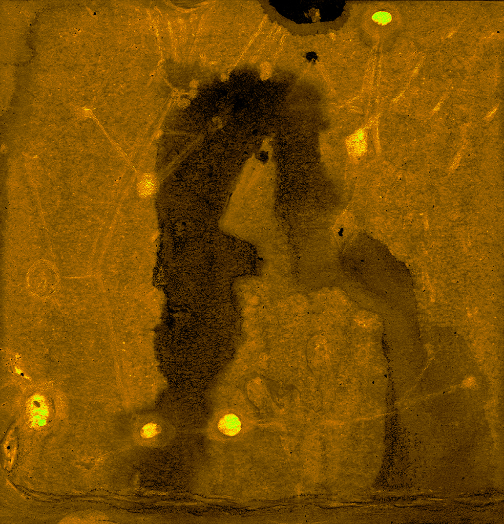 Image of Print "Two Revelations.  Print U" from original Painting/Drawing by Natali Antonovich