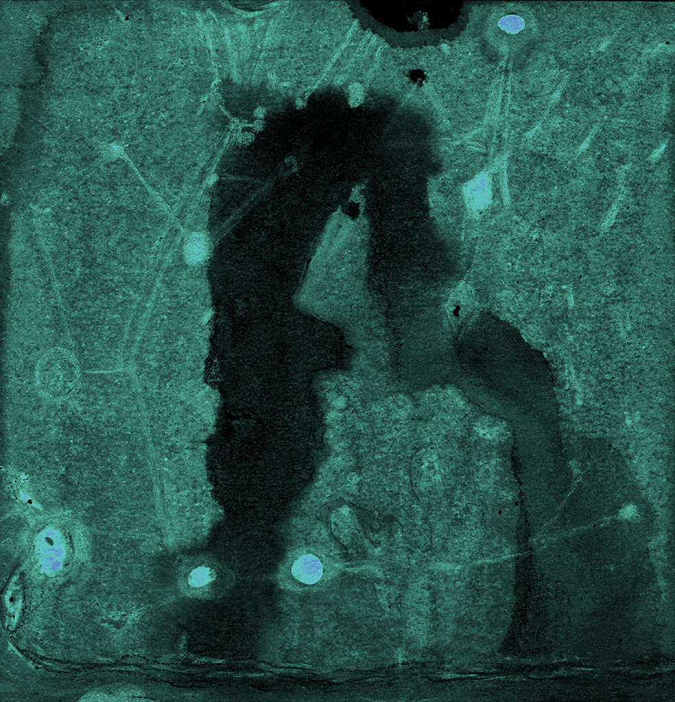 Afbeelding van print "Twee Openbaringen.  Afdruk G" van origineel schilderij/tekening door Natali Antonovich