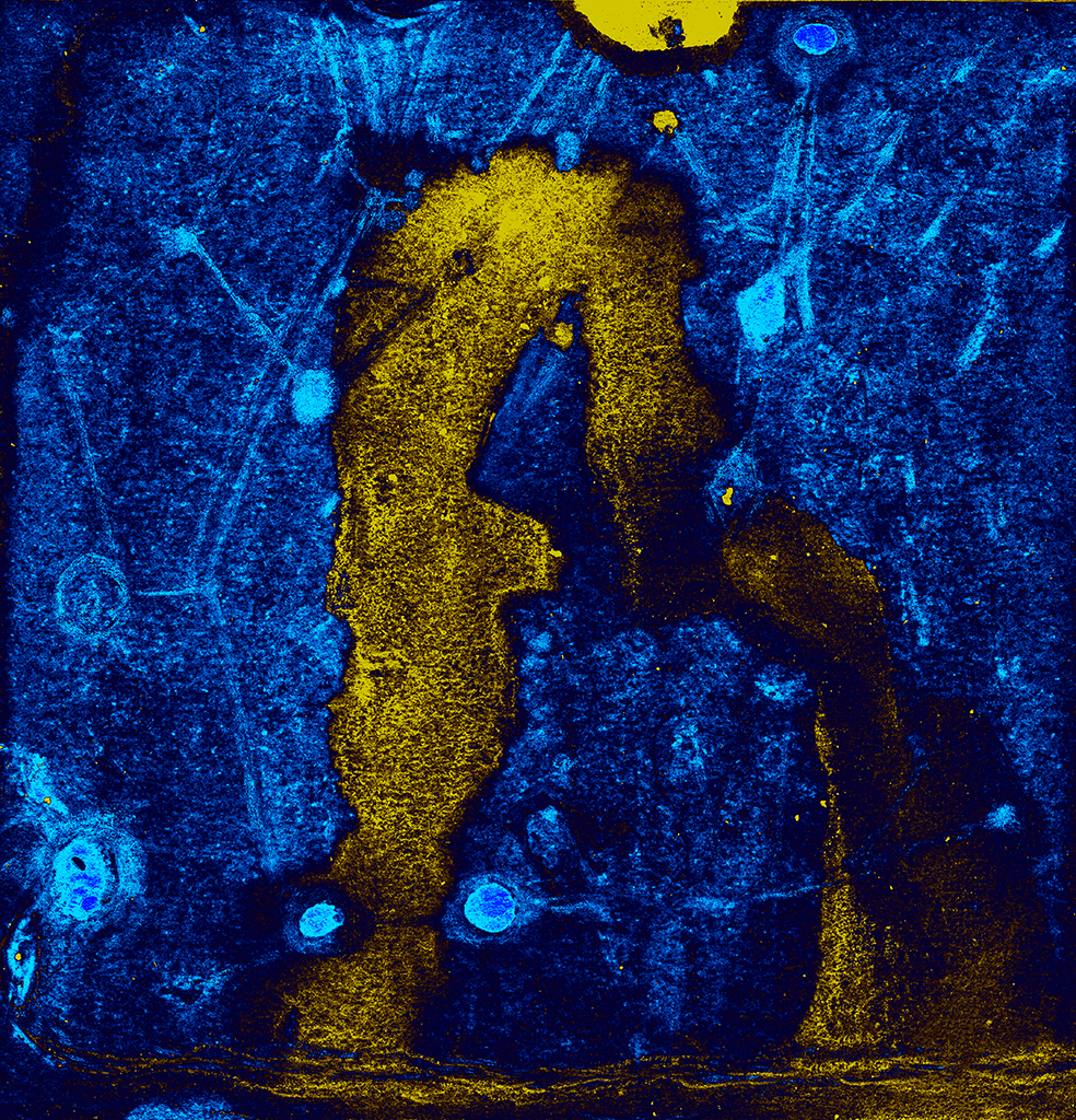 Image of Print "Two Revelations.  Print H" from original Painting/Drawing by Natali Antonovich