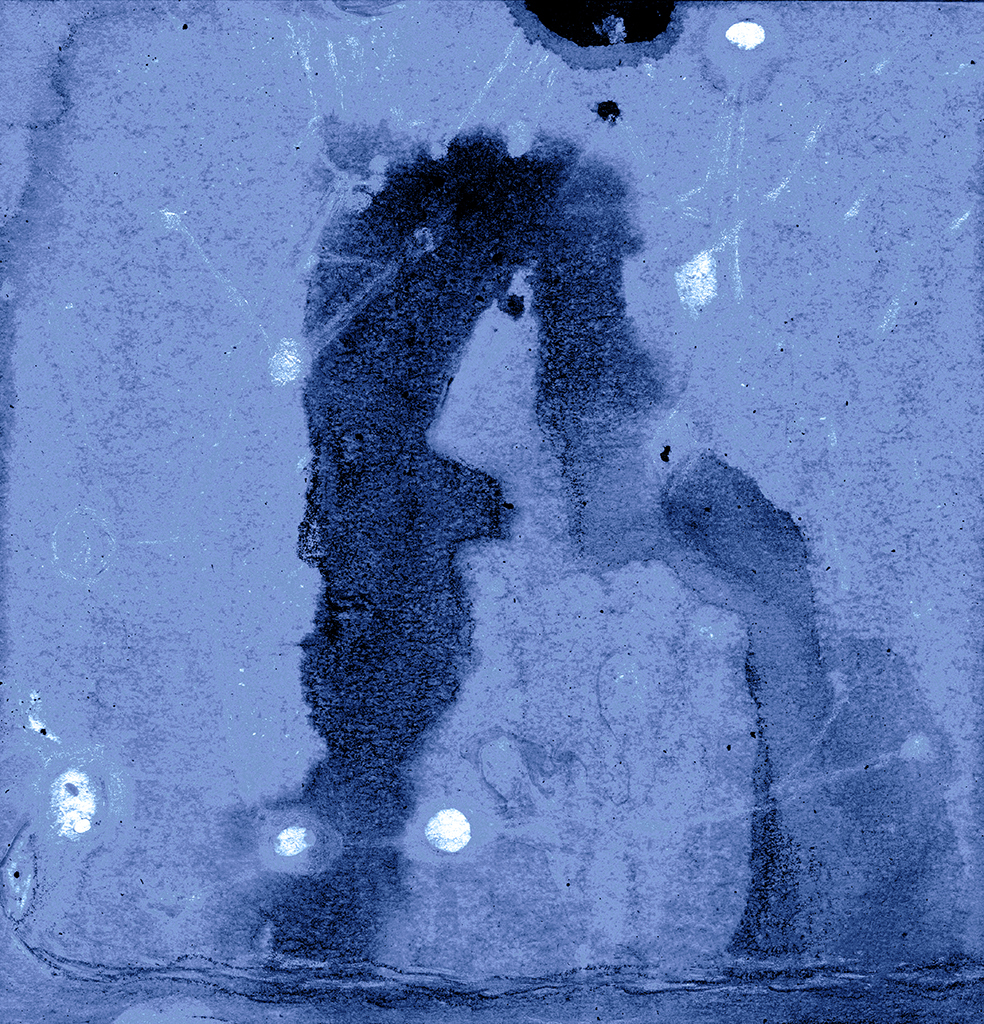 Изображение принта „Два Откровения. Принт N“ с оригинальной картины/рисунка Натальи Антонович