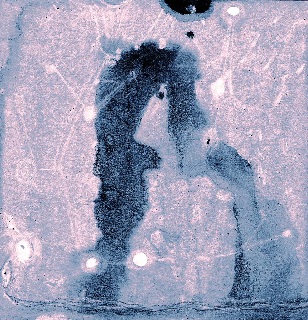 Afbeelding van print "Twee Openbaringen.  Afdruk BC" van origineel schilderij/tekening door Natali Antonovich