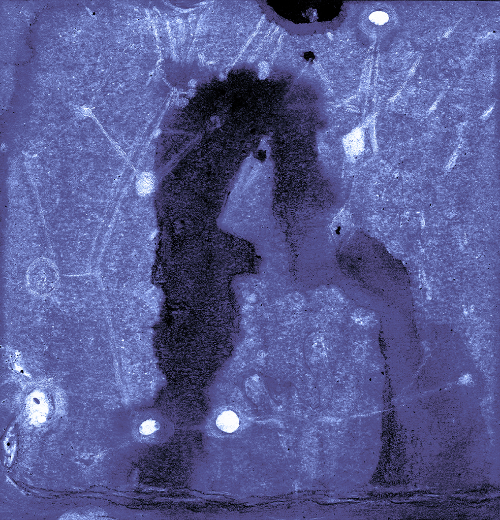 Image de l'impression „Deux Révélations. Imprimé  M“ à partir de la peinture/dessin original de Natali Antonovich