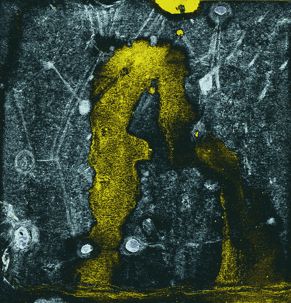 Afbeelding van print "Twee Openbaringen.  Afdruk AC" van origineel schilderij/tekening door Natali Antonovich