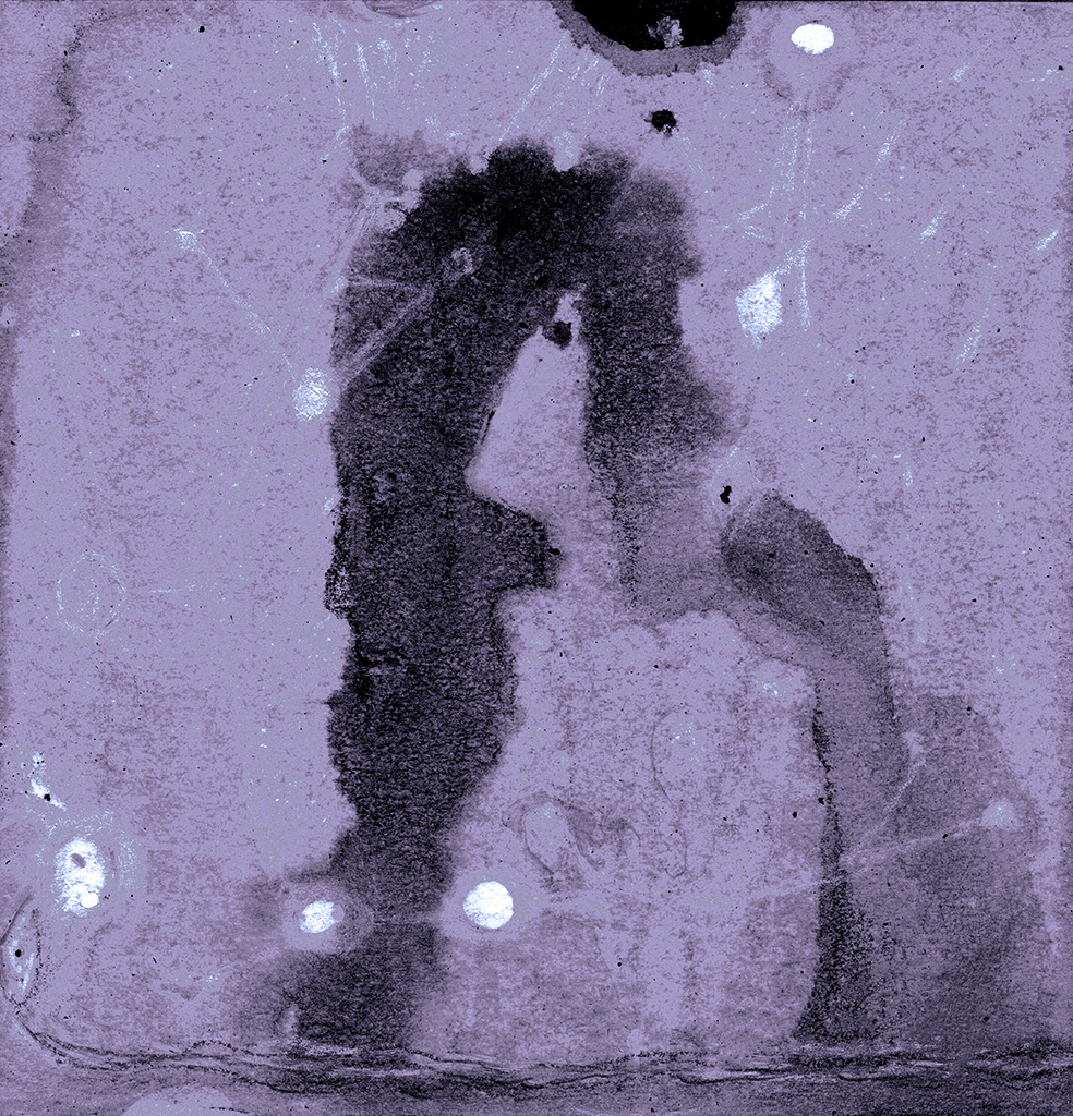 Изображение принта „Два Откровения. Принт X“ с оригинальной картины/рисунка Натальи Антонович