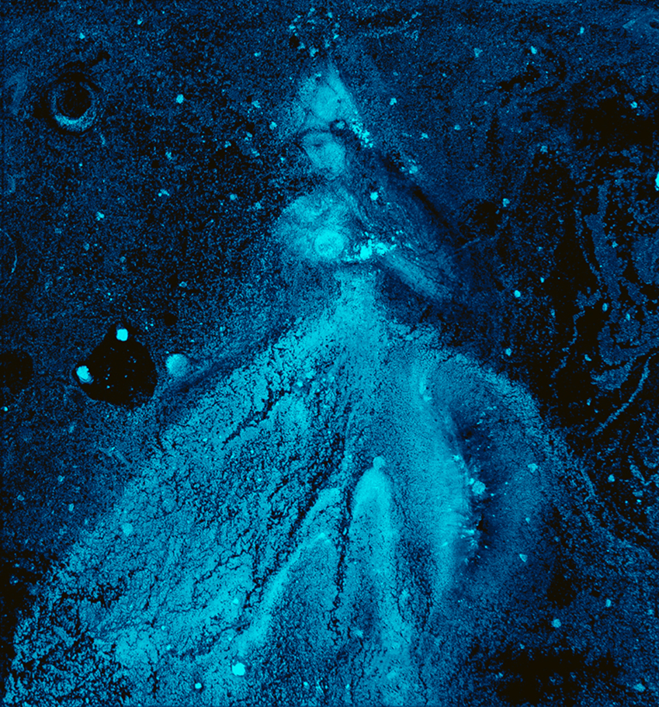 Afbeelding van print "Winterritme. Afdruk D" van origineel schilderij/tekening door Natali Antonovich