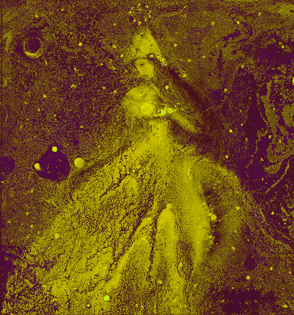 Afbeelding van print "Winterritme. Afdruk U" van origineel schilderij/tekening door Natali Antonovich