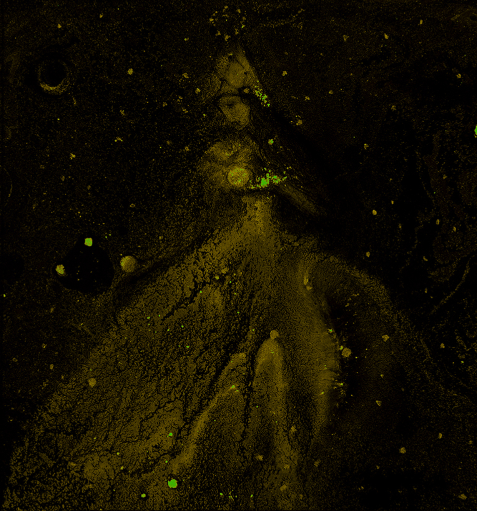 Afbeelding van print "Winterritme. Afdruk J" van origineel schilderij/tekening door Natali Antonovich