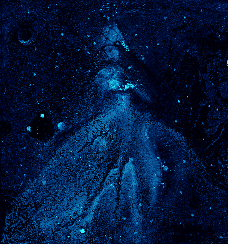 Afbeelding van print "Winterritme. Afdruk AN" van origineel schilderij/tekening door Natali Antonovich