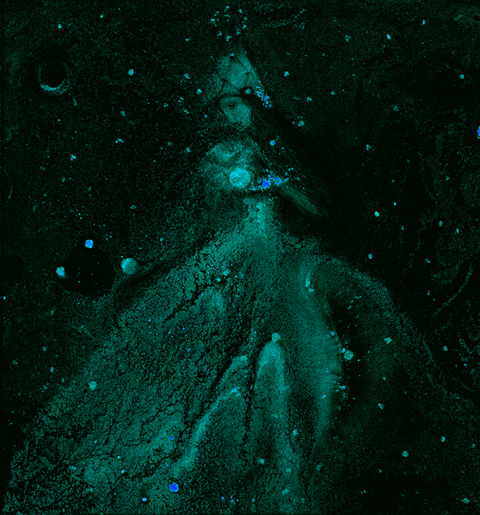 Image of Print "Winter rhythm. Print AQ" from original Painting/Drawing by Natali Antonovich