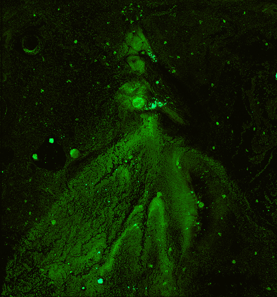 Afbeelding van print "Winterritme. Afdruk AW" van origineel schilderij/tekening door Natali Antonovich