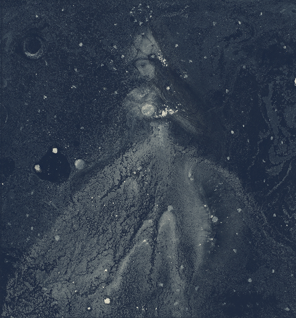 Bild der Drucks „Winterrhythmus. Drucken  AB“ vom Original gemälde/Zeichnung von Natali Antonovich