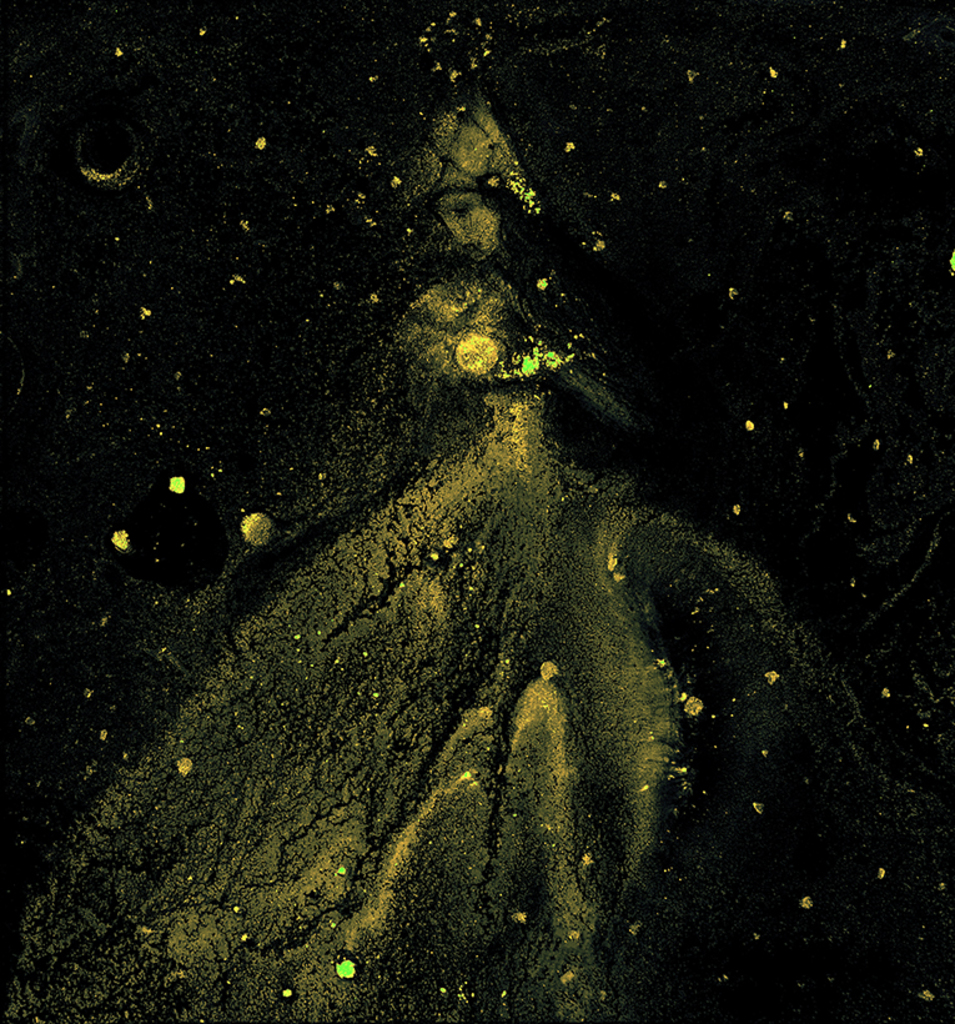 Afbeelding van print "Winterritme. Afdruk BF" van origineel schilderij/tekening door Natali Antonovich