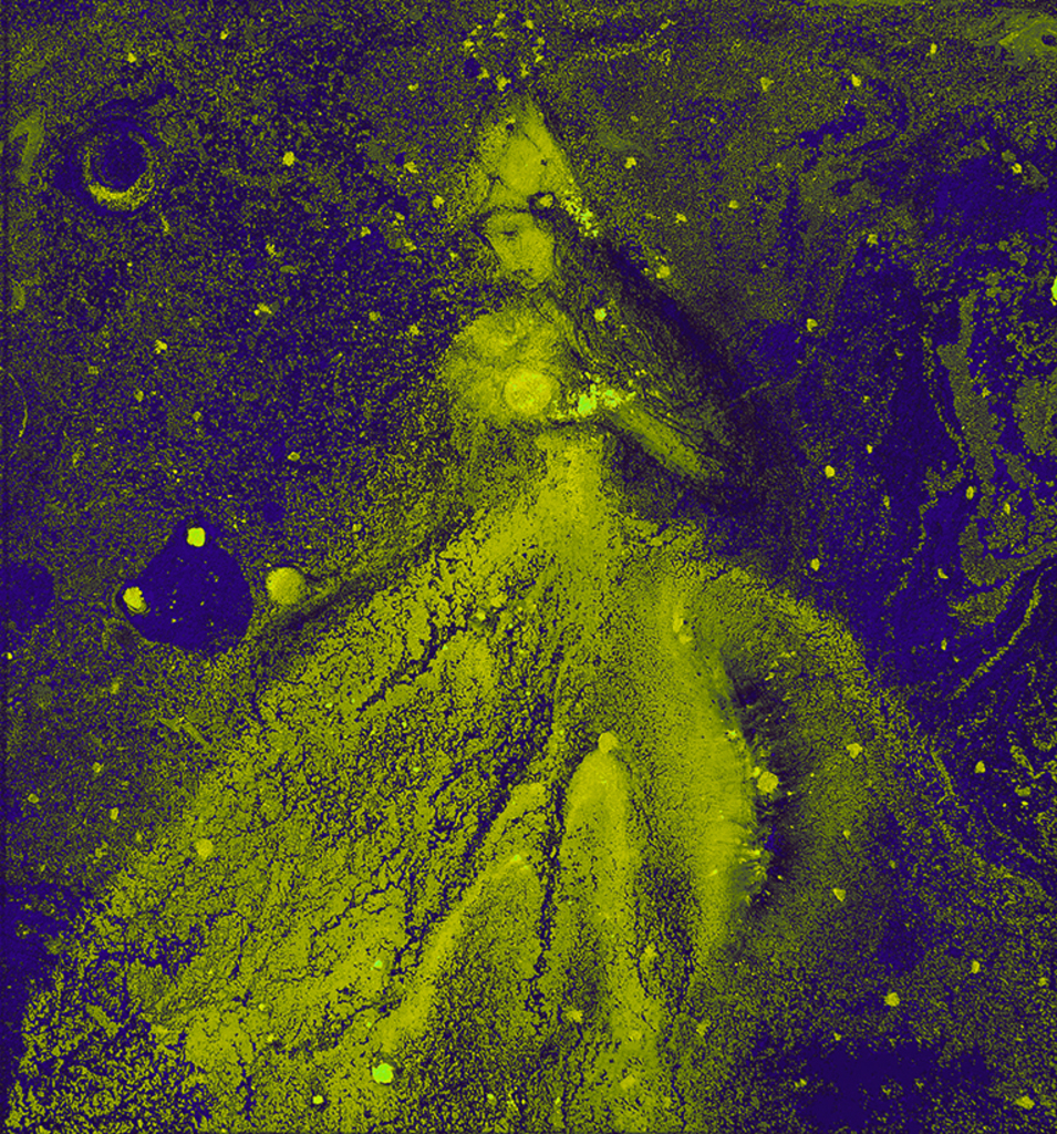 Afbeelding van print "Winterritme. Afdruk CR" van origineel schilderij/tekening door Natali Antonovich