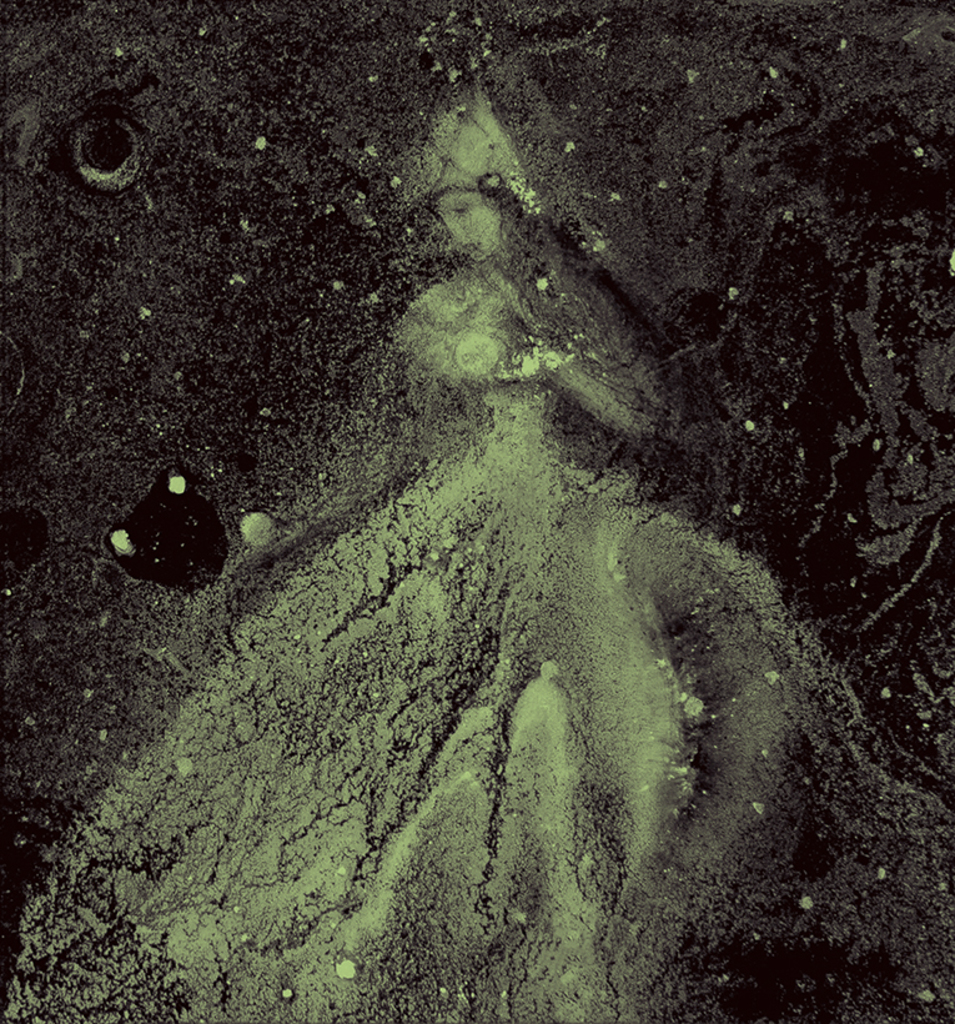 Bild der Drucks „Winterrhythmus. Drucken  BM“ vom Original gemälde/Zeichnung von Natali Antonovich