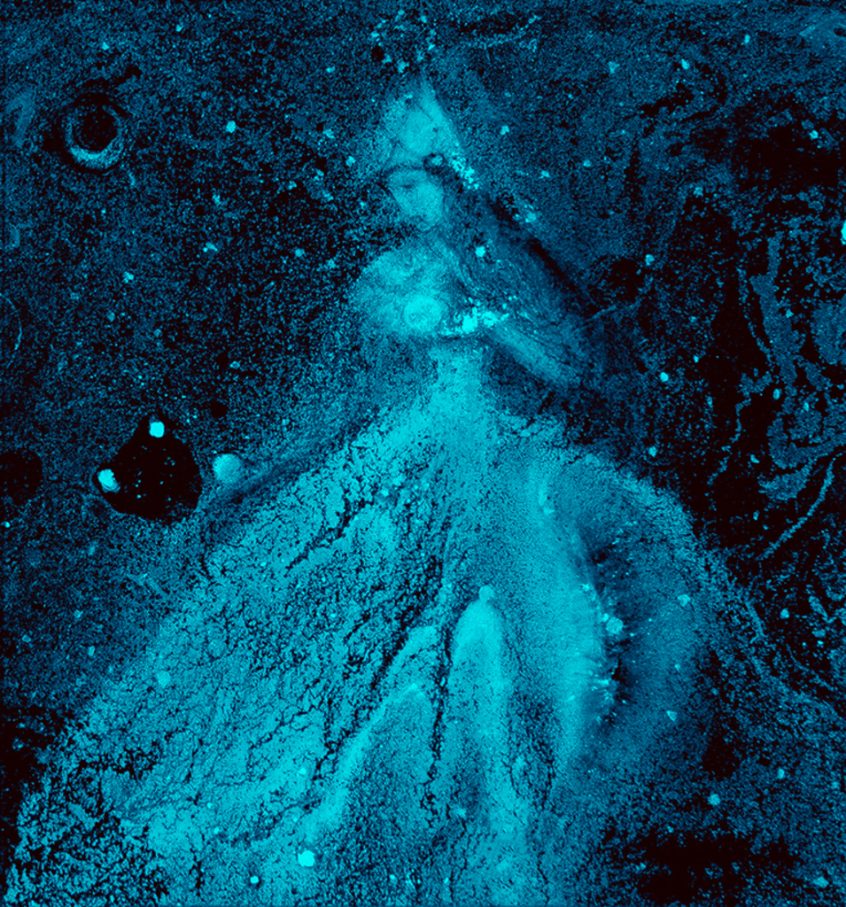 Image of Print "Winter rhythm. Print BN" from original Painting/Drawing by Natali Antonovich