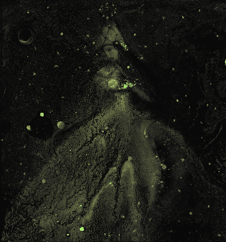 Image of Print "Winter rhythm. Print BL" from original Painting/Drawing by Natali Antonovich