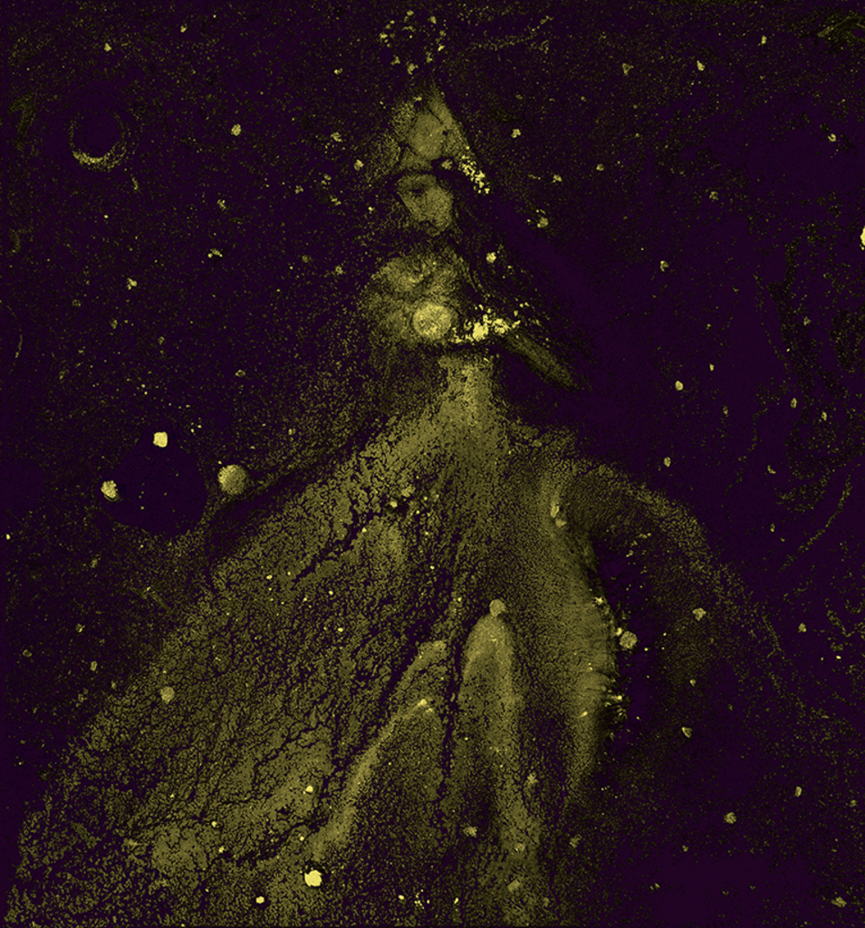 Bild der Drucks „Winterrhythmus. Drucken  BJ“ vom Original gemälde/Zeichnung von Natali Antonovich