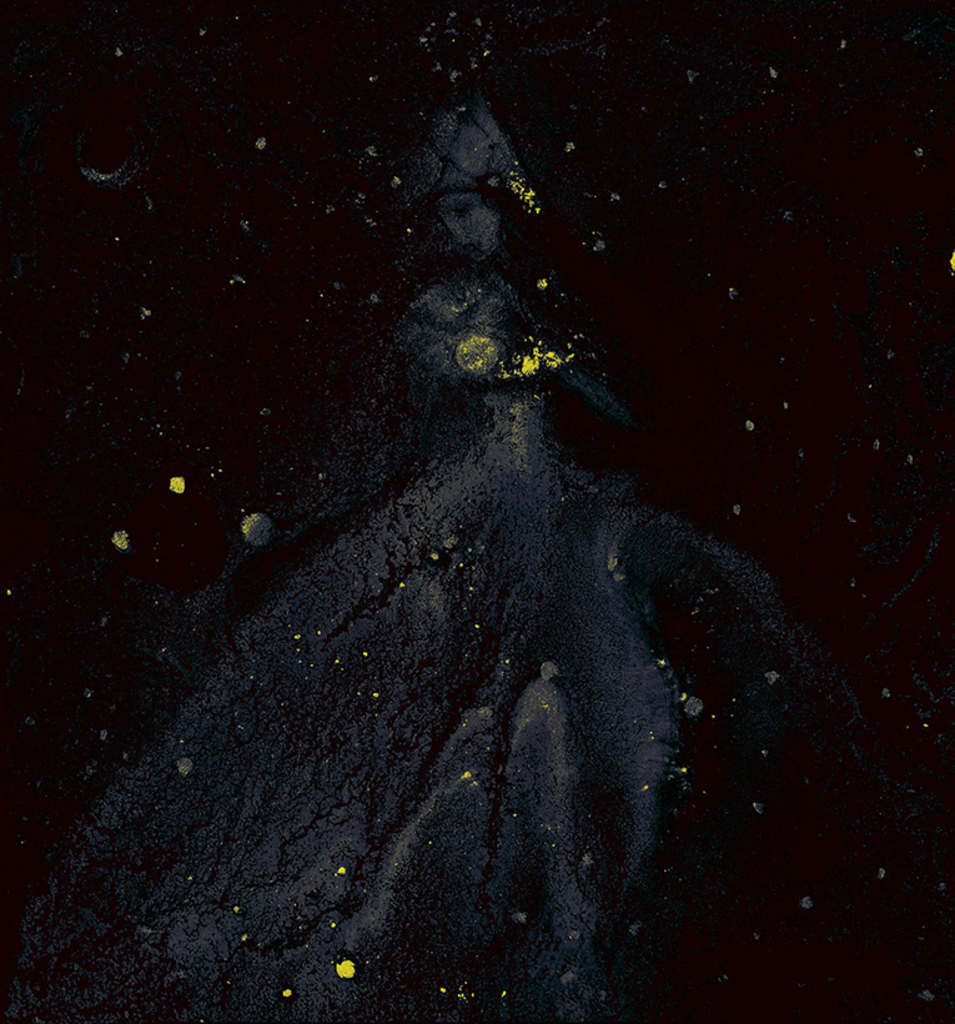 Afbeelding van print "Winterritme. Afdruk CP" van origineel schilderij/tekening door Natali Antonovich