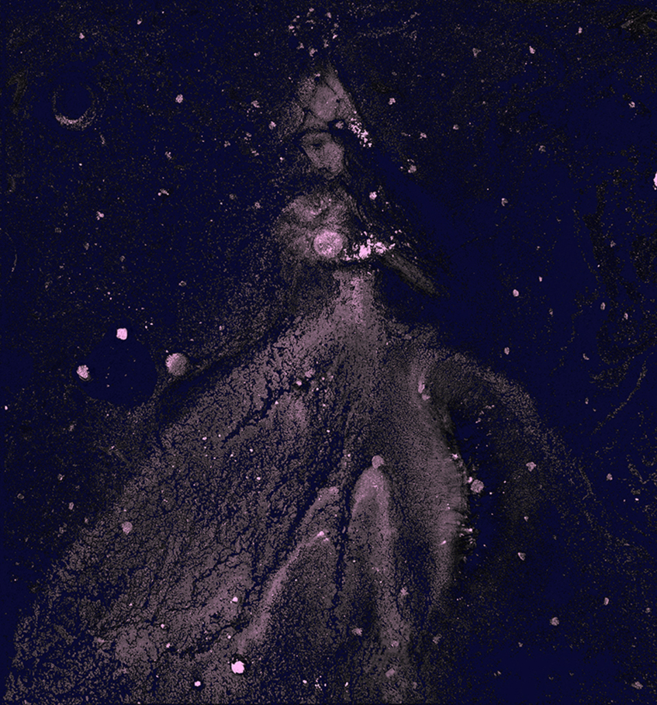 Image of Print "Winter rhythm. Print CE" from original Painting/Drawing by Natali Antonovich