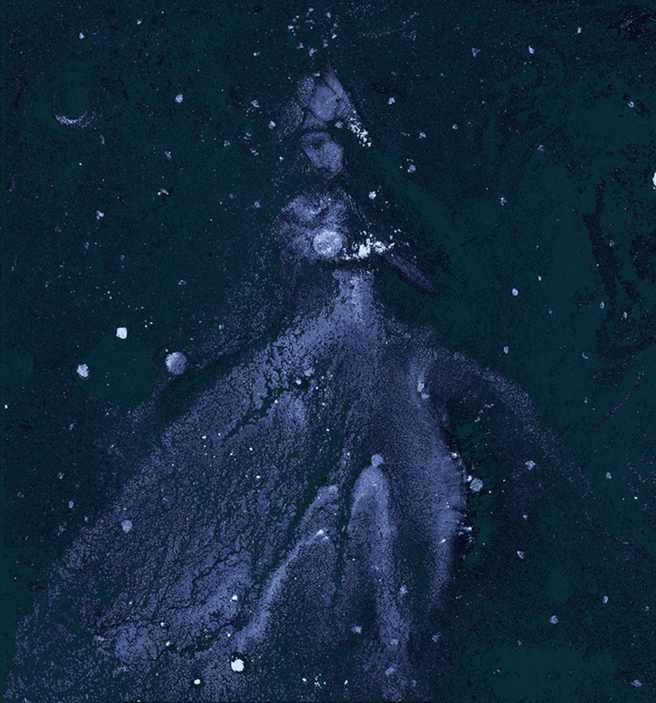 Afbeelding van print "Winterritme. Afdruk FB" van origineel schilderij/tekening door Natali Antonovich