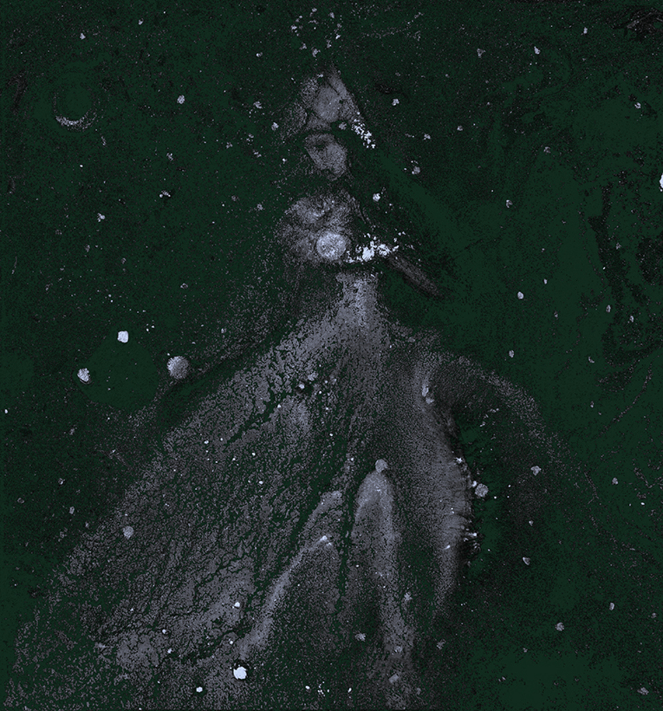 Afbeelding van print "Winterritme. Afdruk FG" van origineel schilderij/tekening door Natali Antonovich