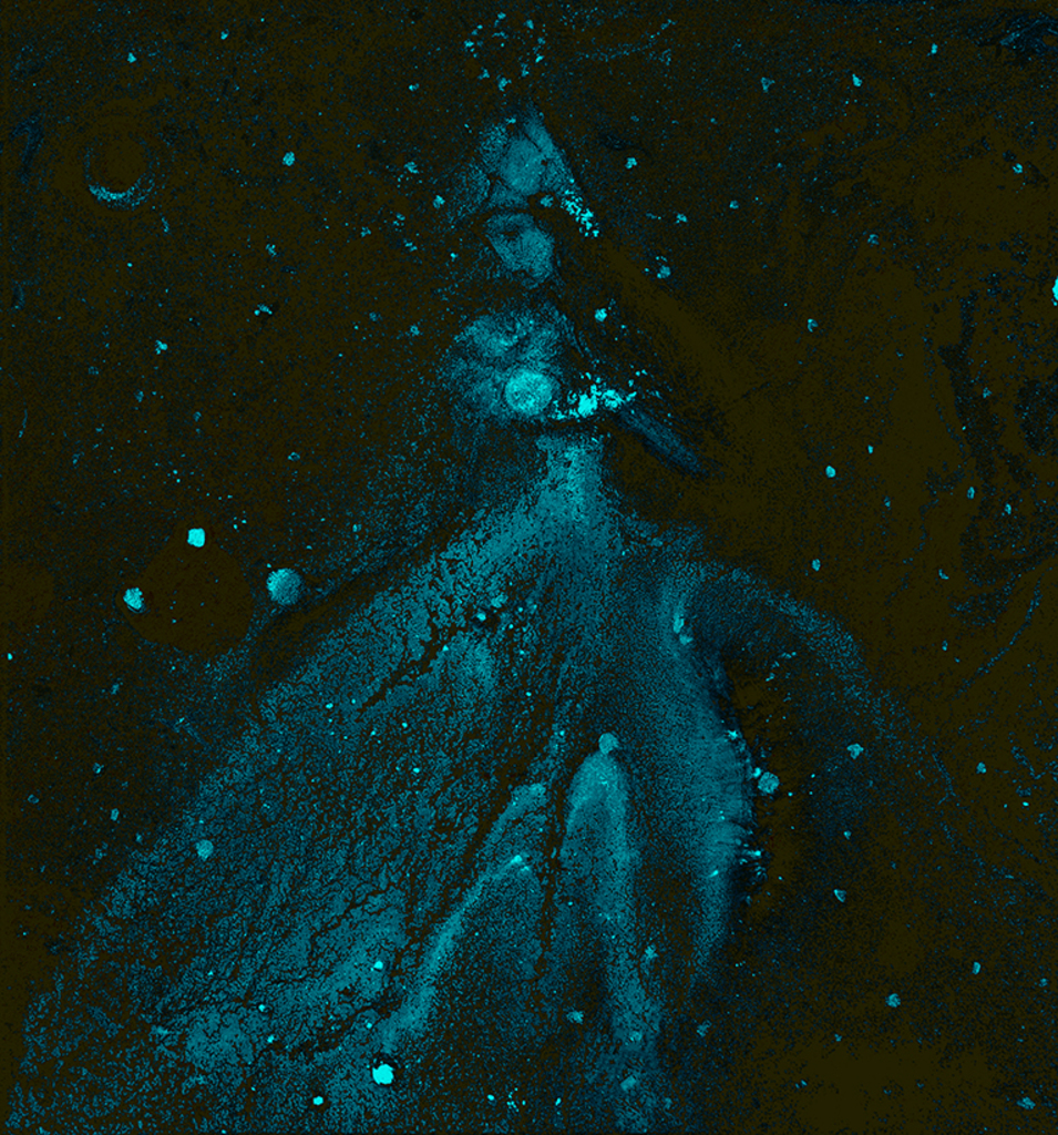 Bild der Drucks „Winterrhythmus. Drucken  FJ“ vom Original gemälde/Zeichnung von Natali Antonovich