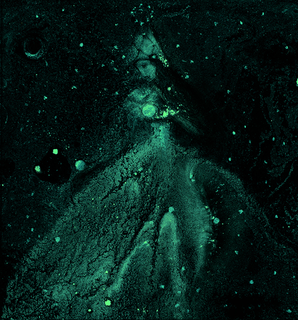 Bild der Drucks „Winterrhythmus. Drucken  FT“ vom Original gemälde/Zeichnung von Natali Antonovich