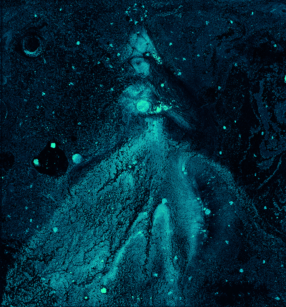 Afbeelding van print "Winterritme. Afdruk FX" van origineel schilderij/tekening door Natali Antonovich