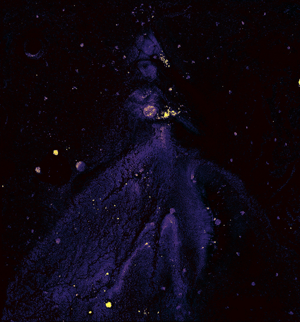 Image of Print "Winter rhythm. Print HL" from original Painting/Drawing by Natali Antonovich