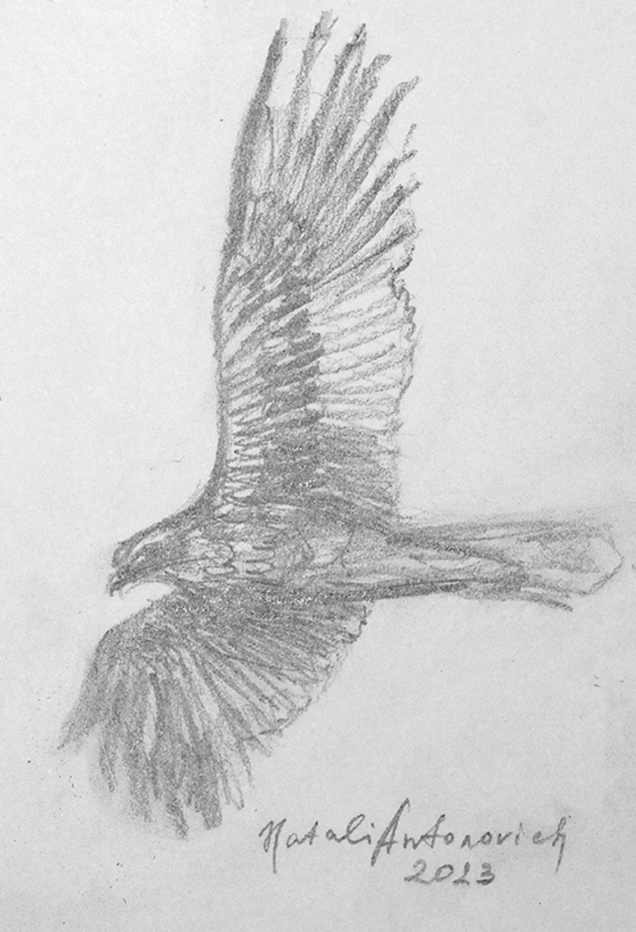 "Sketch No. 332" painting by Natali Antonovich | Artist's Gallery.