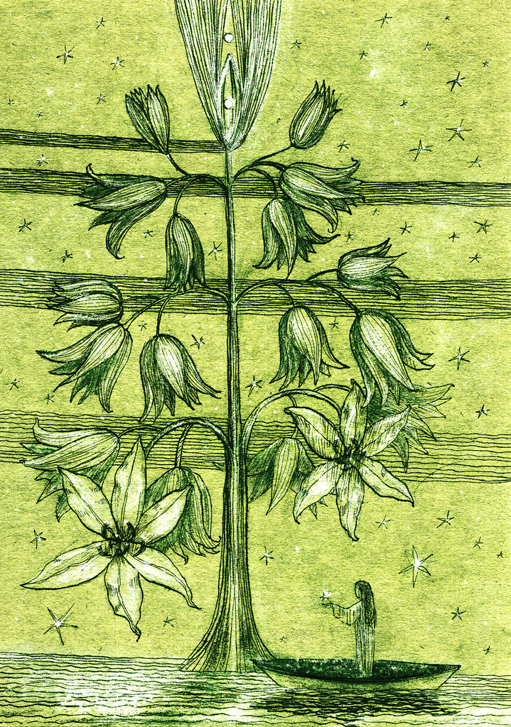 Image of Print "Star Tree.  Print B" from original Painting/Drawing by Natali Antonovich