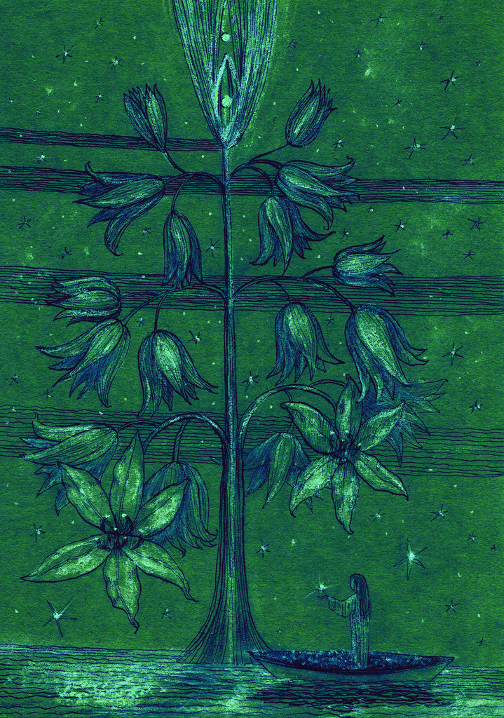 Image of Print "Star Tree.  Print AL" from original Painting/Drawing by Natali Antonovich