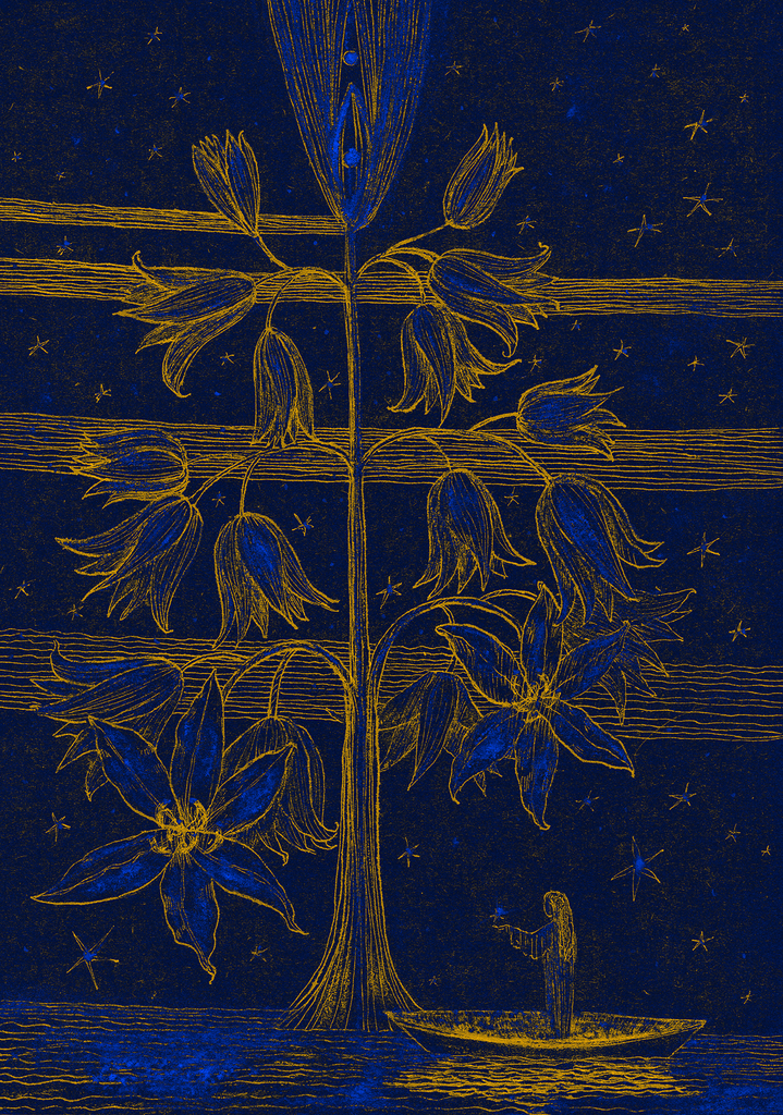 Image of Print "Star Tree.  Print BK" from original Painting/Drawing by Natali Antonovich