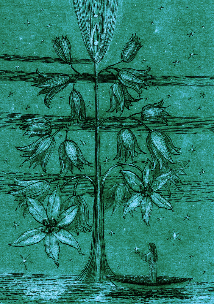 Image of Print "Star Tree.  Print DN" from original Painting/Drawing by Natali Antonovich