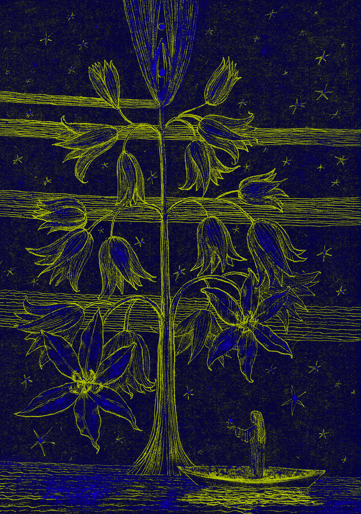 Image of Print "Star Tree.  Print DM" from original Painting/Drawing by Natali Antonovich