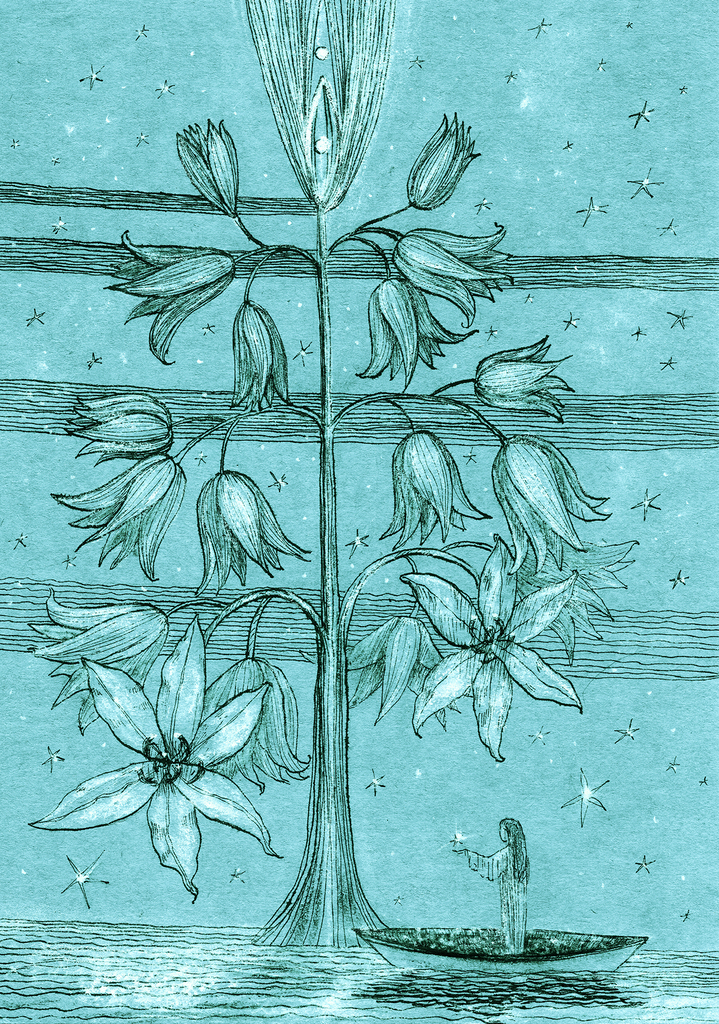 Bild der Drucks „Sternenbaum. Drucken NG“ vom Original gemälde/Zeichnung von Natali Antonovich