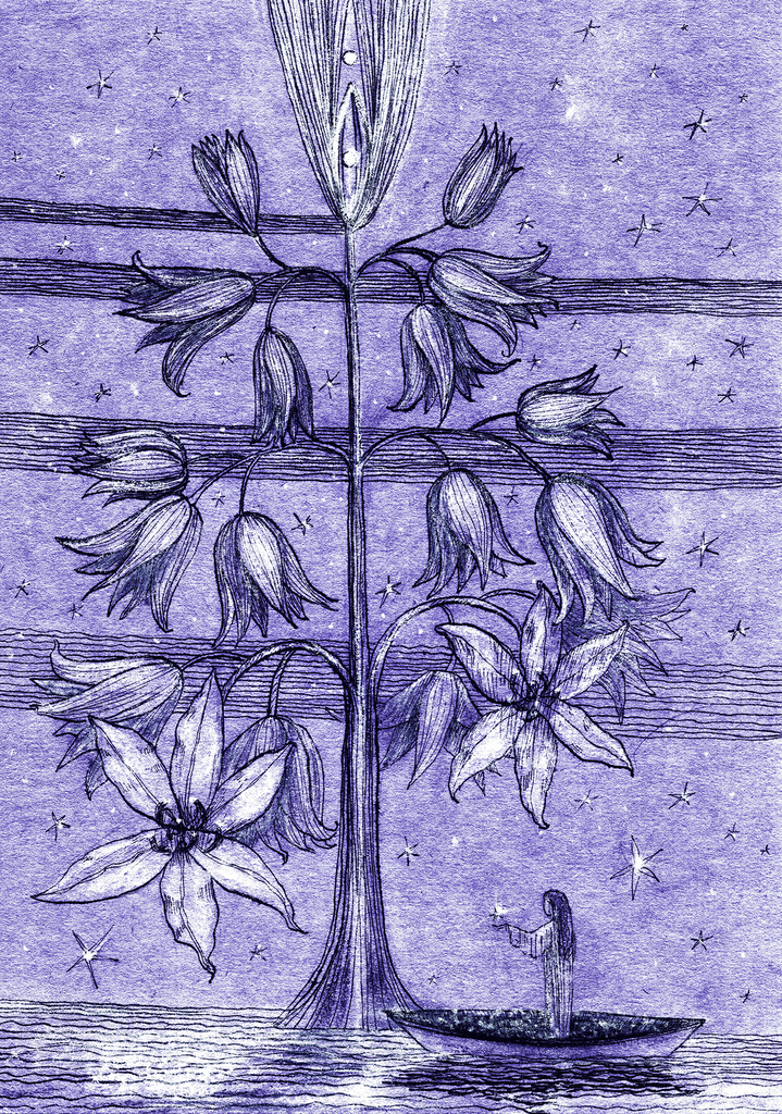 Afbeelding van print "Sterrenboom.  Afdruk RF" van origineel schilderij/tekening door Natali Antonovich