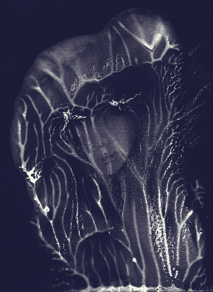 Image of Print "Madonna. Print B" from original Painting/Drawing by Natali Antonovich